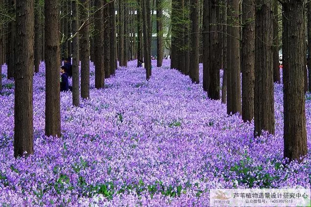 俄罗斯男子网球男明星-俄罗斯网球明星：力量与优雅的完美结合，视觉与情感的盛宴