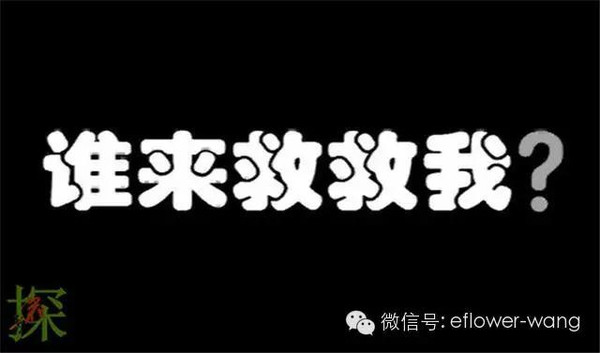 青蛙吃苍蝇_青蛙吃苍蝇_青蛙吃苍蝇