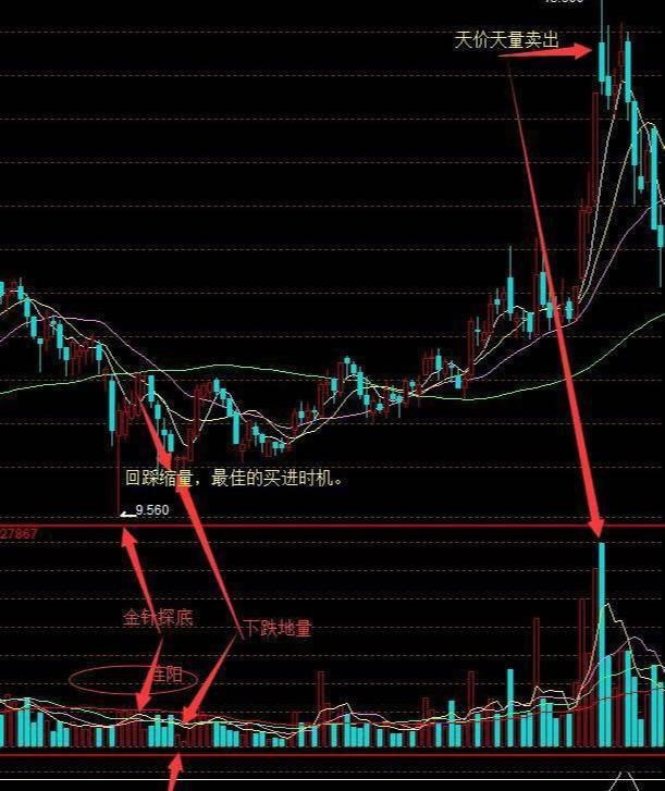 影骑线可以使用果实能力吗_影骑线可以使用果实能力吗_影骑线可以使用果实能力吗