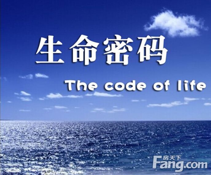 幸运数字密码大全_解密幸运数字怎么玩_数字解密赢好礼幸运数字