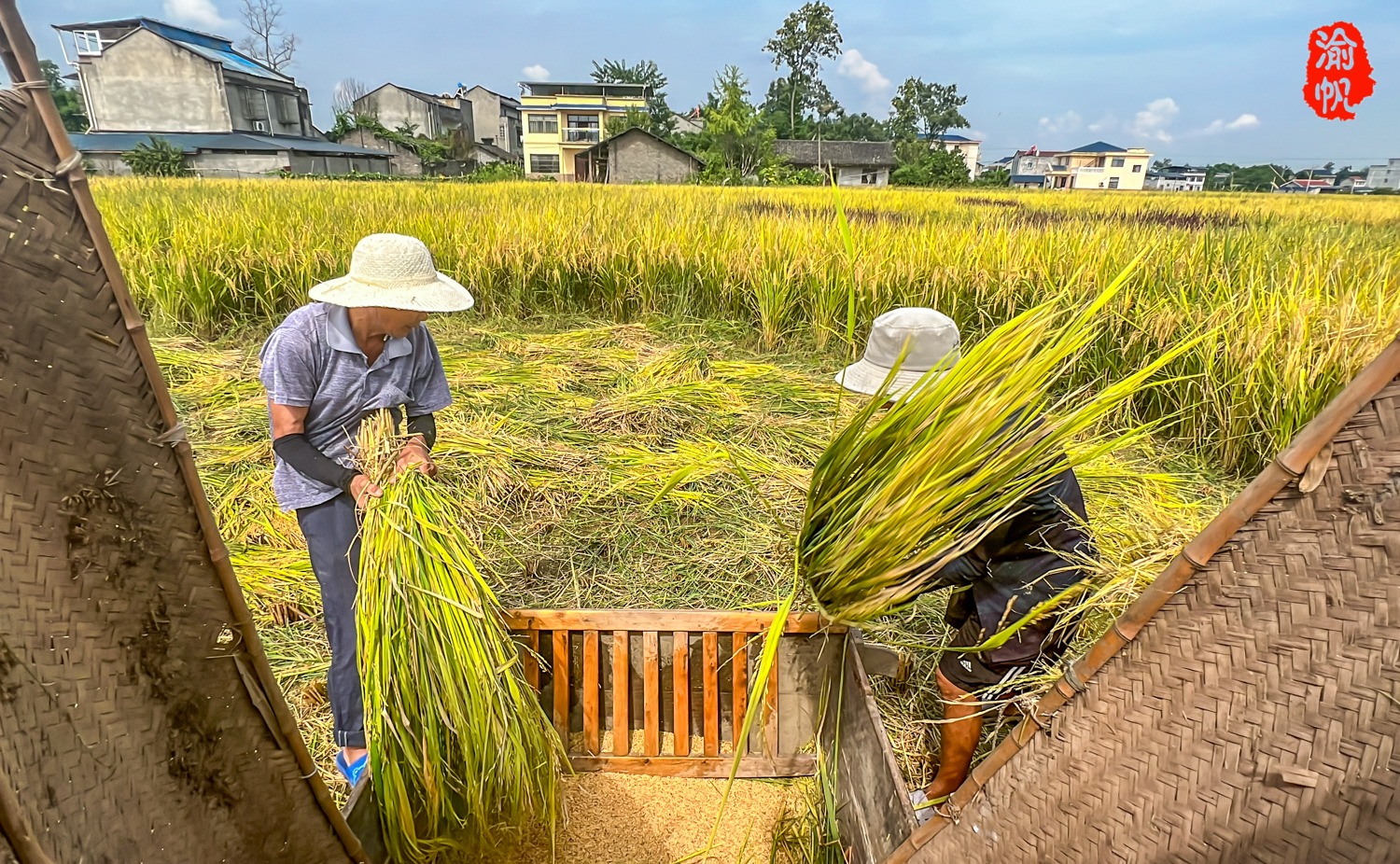 田间一条龙游戏玩法_拓展游戏田间一条龙_玩法田间条龙游戏视频