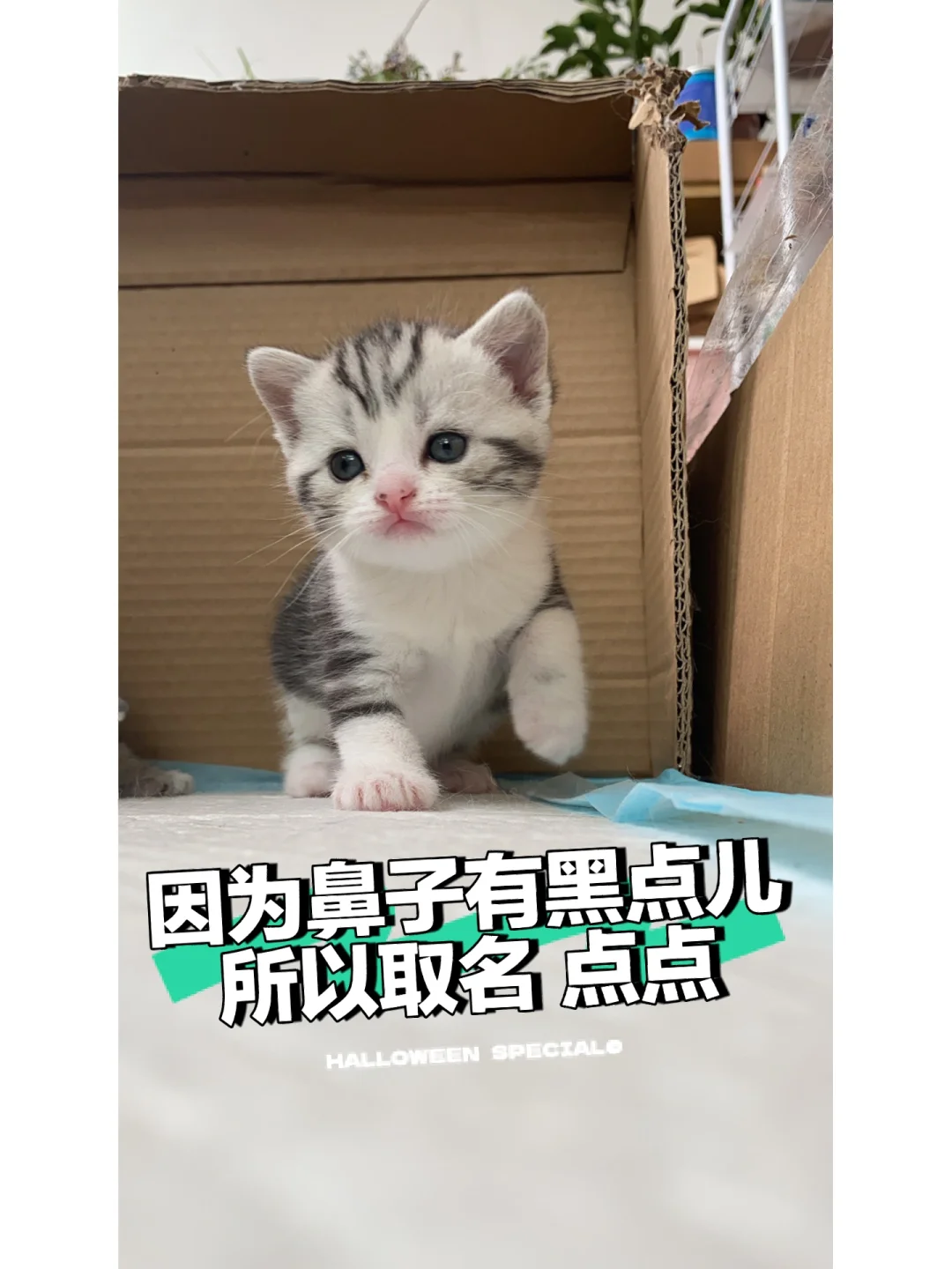 下面是个点怎么打出来_下面点滴出血什么原因_下面的点怎么打出来