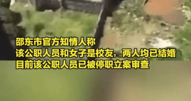 安娜尔返利机器人破解版_安娜安卓汉化版直装_安娜尔机器人破解版