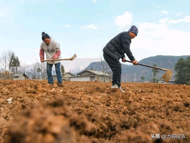 回收站删除的文件恢复软件_易捷恢复回收站删除文件软件_回收站恢复软件