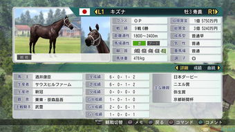 赛马大亨8中文版,赛马世界的全新体验