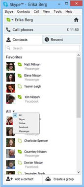 skype,Skype——跨越时空的沟通桥梁