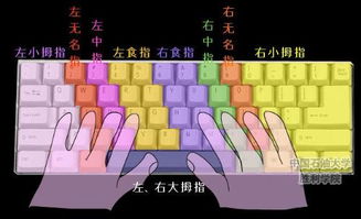 标准游戏指法,掌握高效操作的艺术