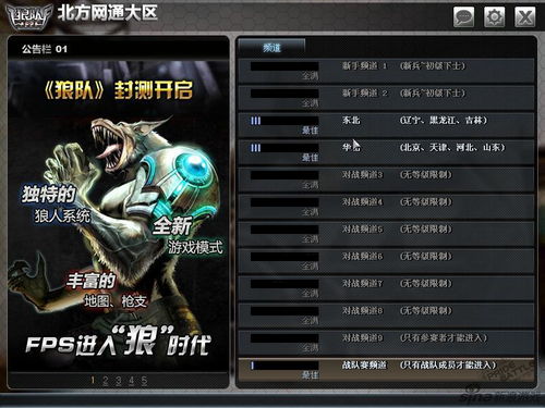 数狼游戏,智慧与策略的较量