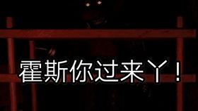 霍斯游戏,午夜后宫的惊悚冒险